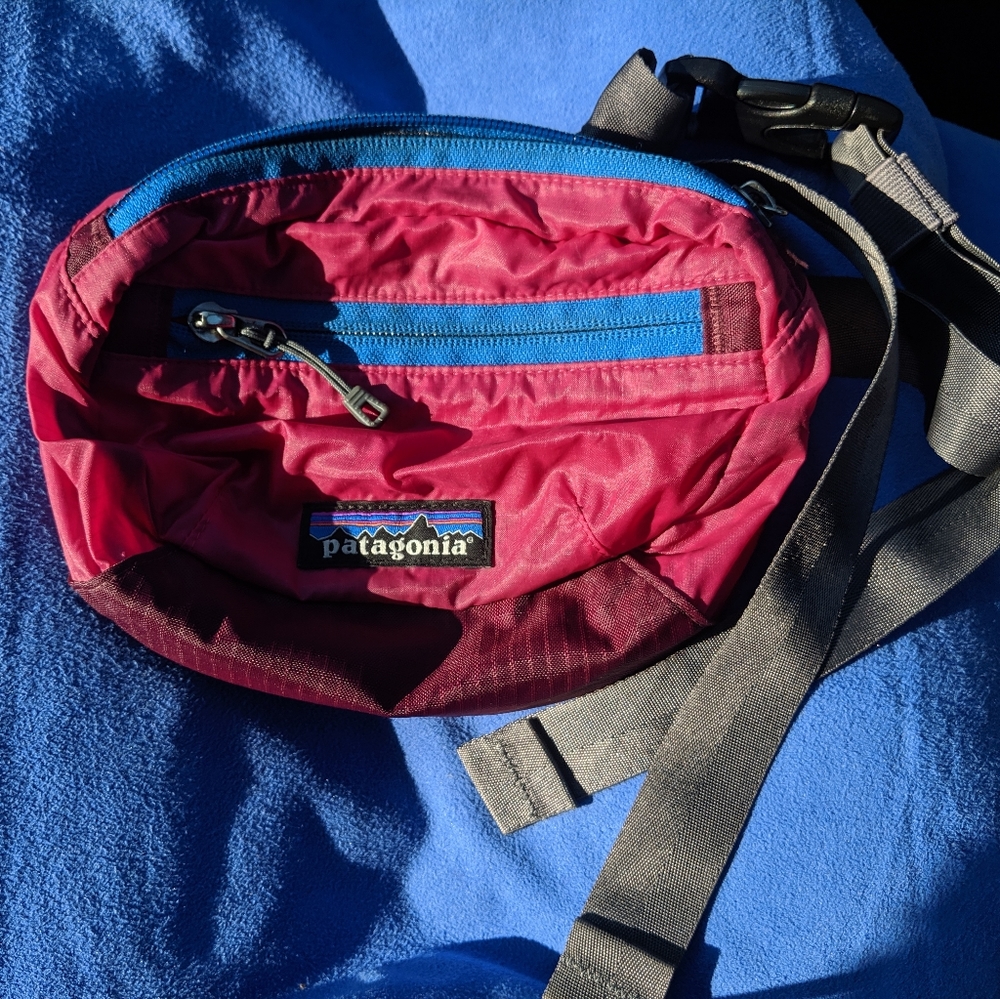 Patagonia lightweight padded fanny pack travel